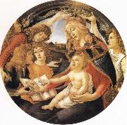 Sandro Botticelli Madonna del Magnificat oil painting artist